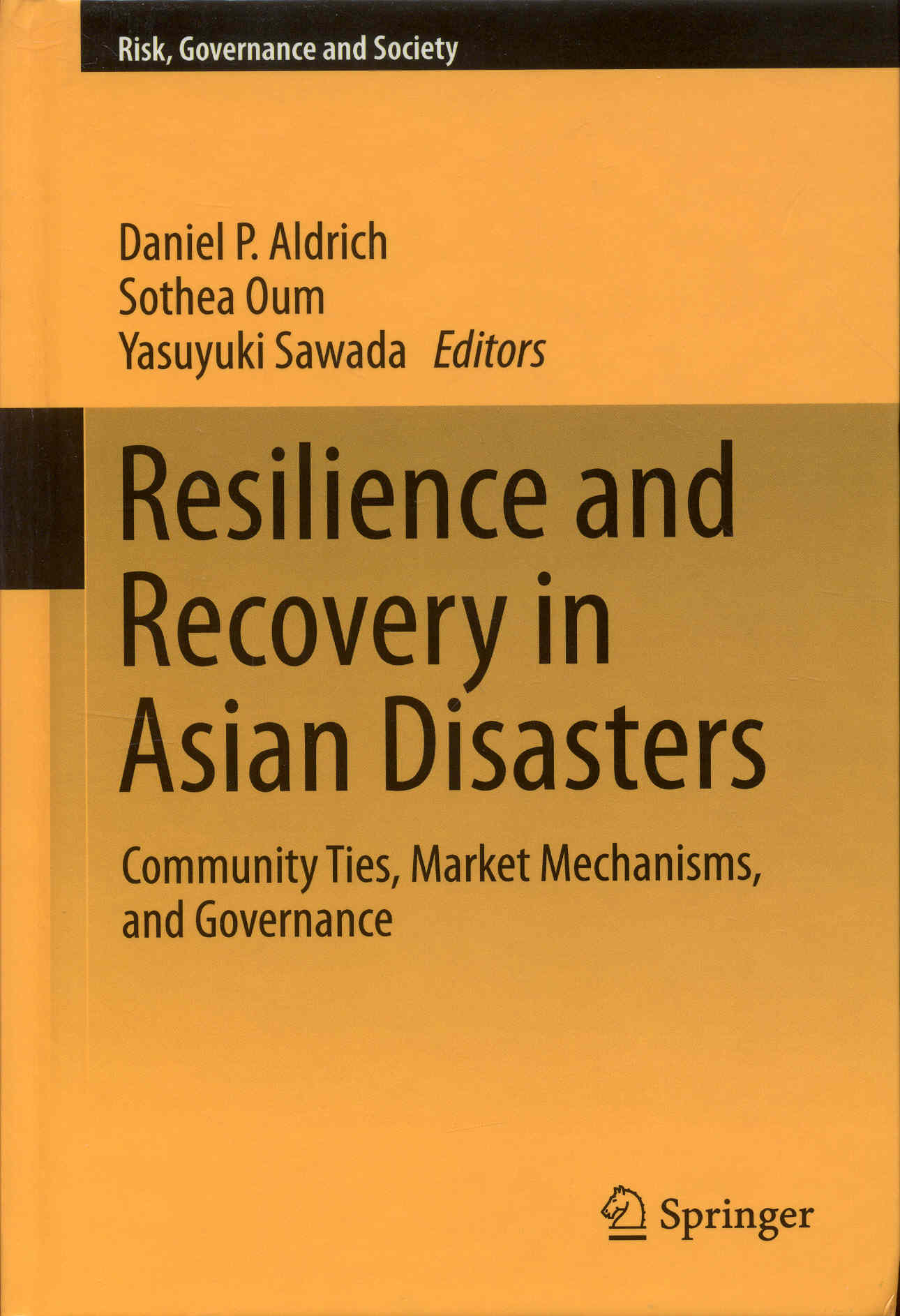 Image for Resilience and Recovery in Asian Disasters: Community Ties, Market Mechanisms, and Governance