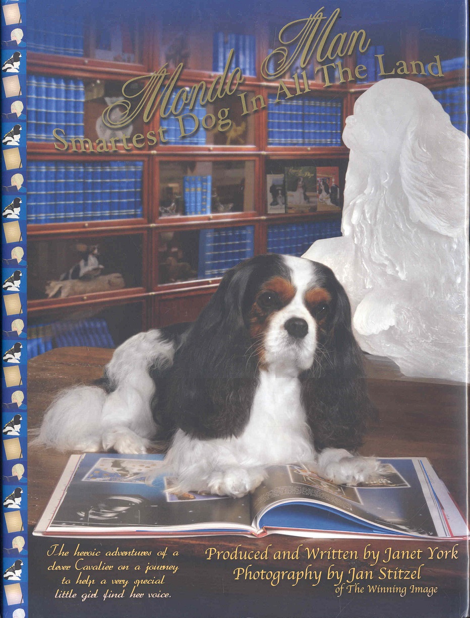 Image for Mondo Man: Smartest Dog In All The Land