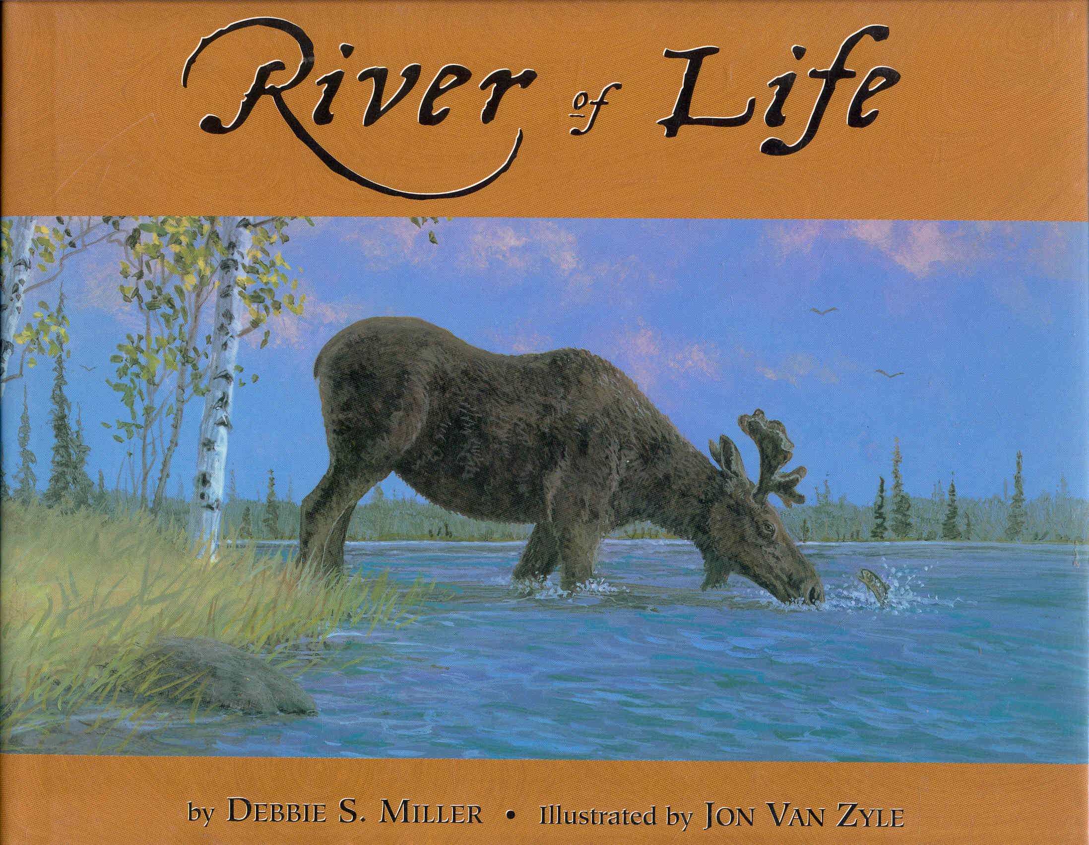 Image for River of Life
