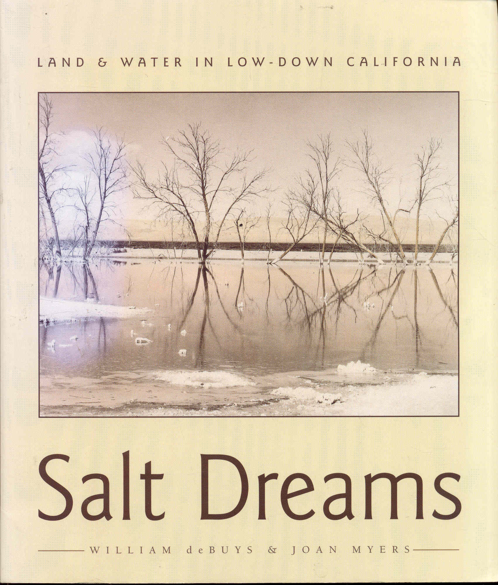 Salt Dreams. Salt in Dreams. Dream Land.