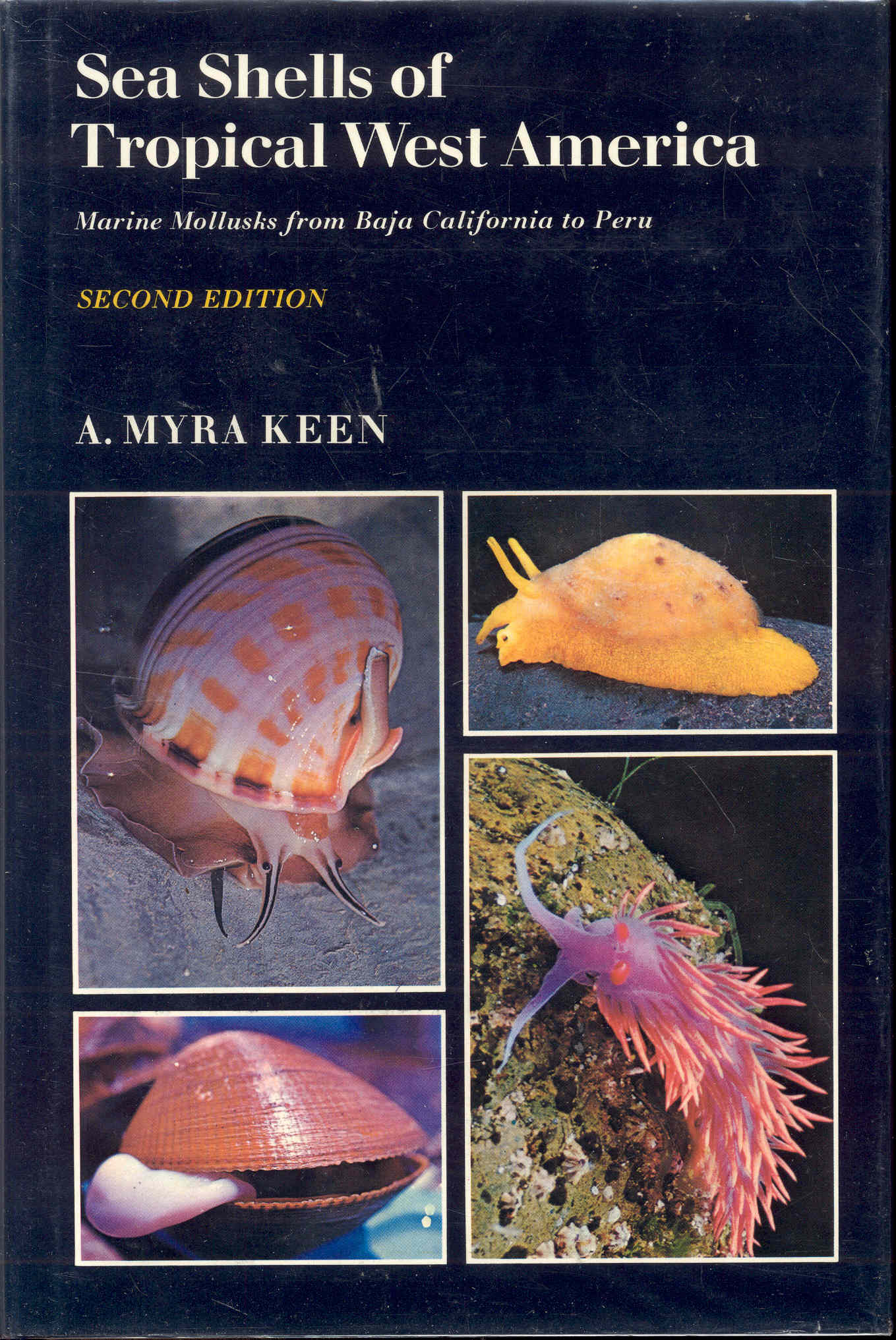 Image for Sea Shells of Tropical West America: Marine Mollusks from Baja California to Peru