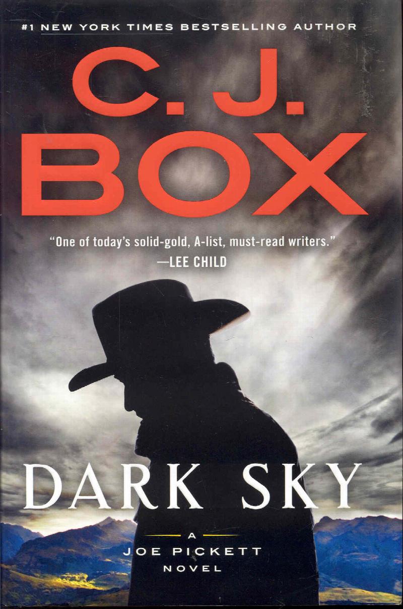 Image for Dark Sky