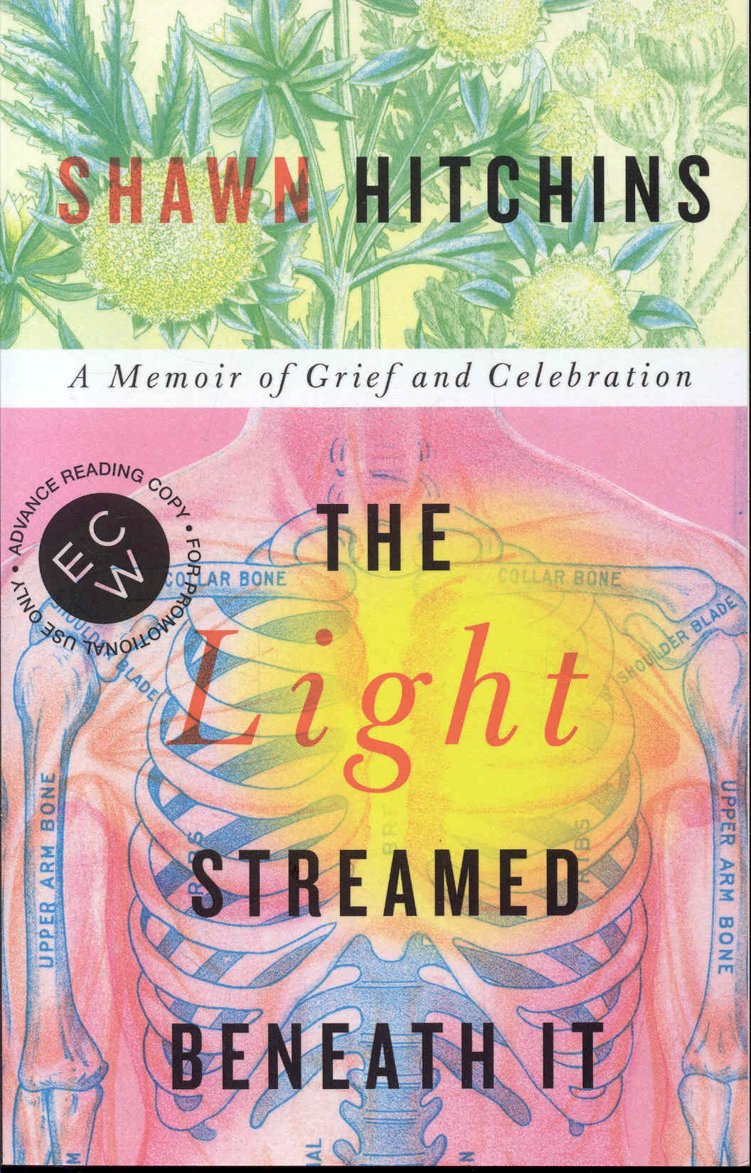 The Light Streamed Beneath It: A Memoir of Grief and Celebration
