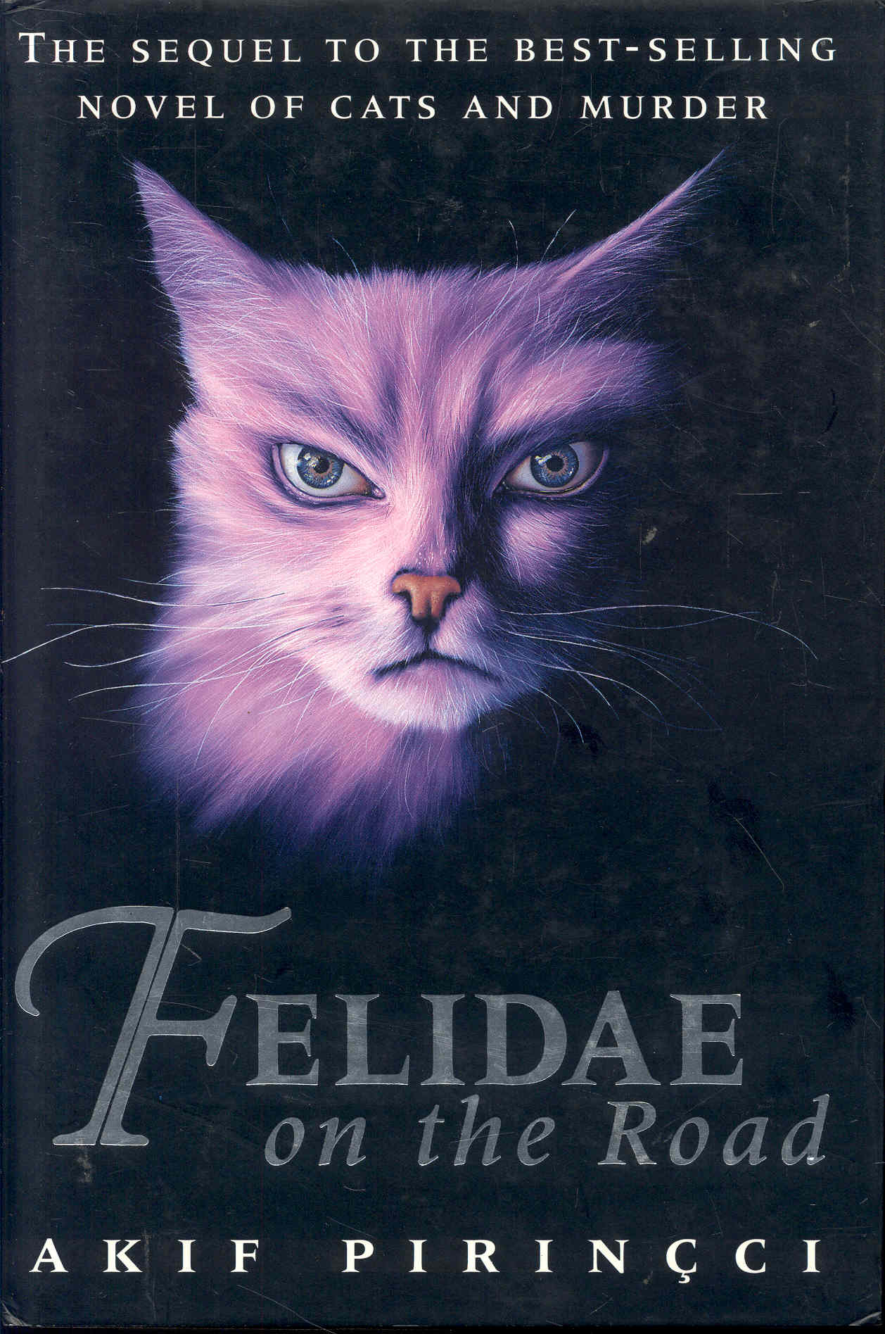 Felidae on the Road