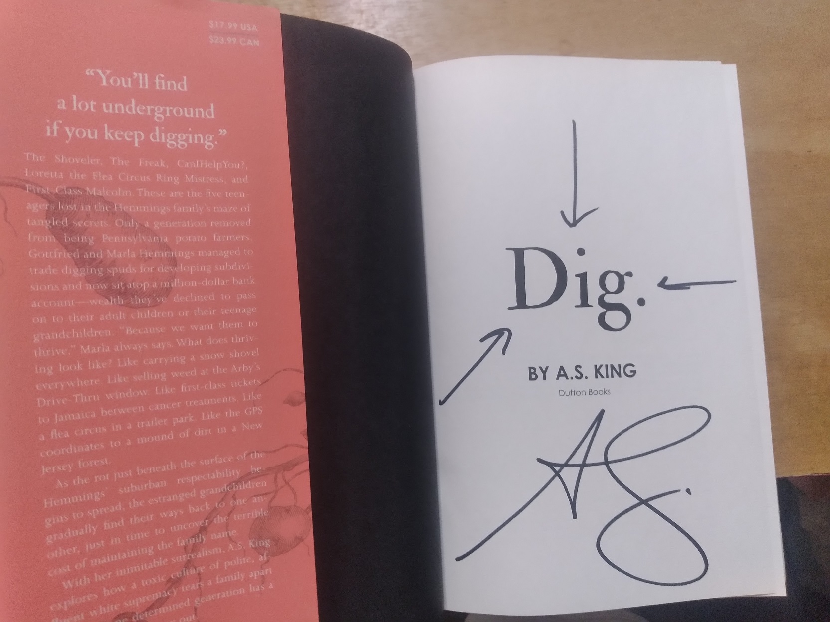 Dig