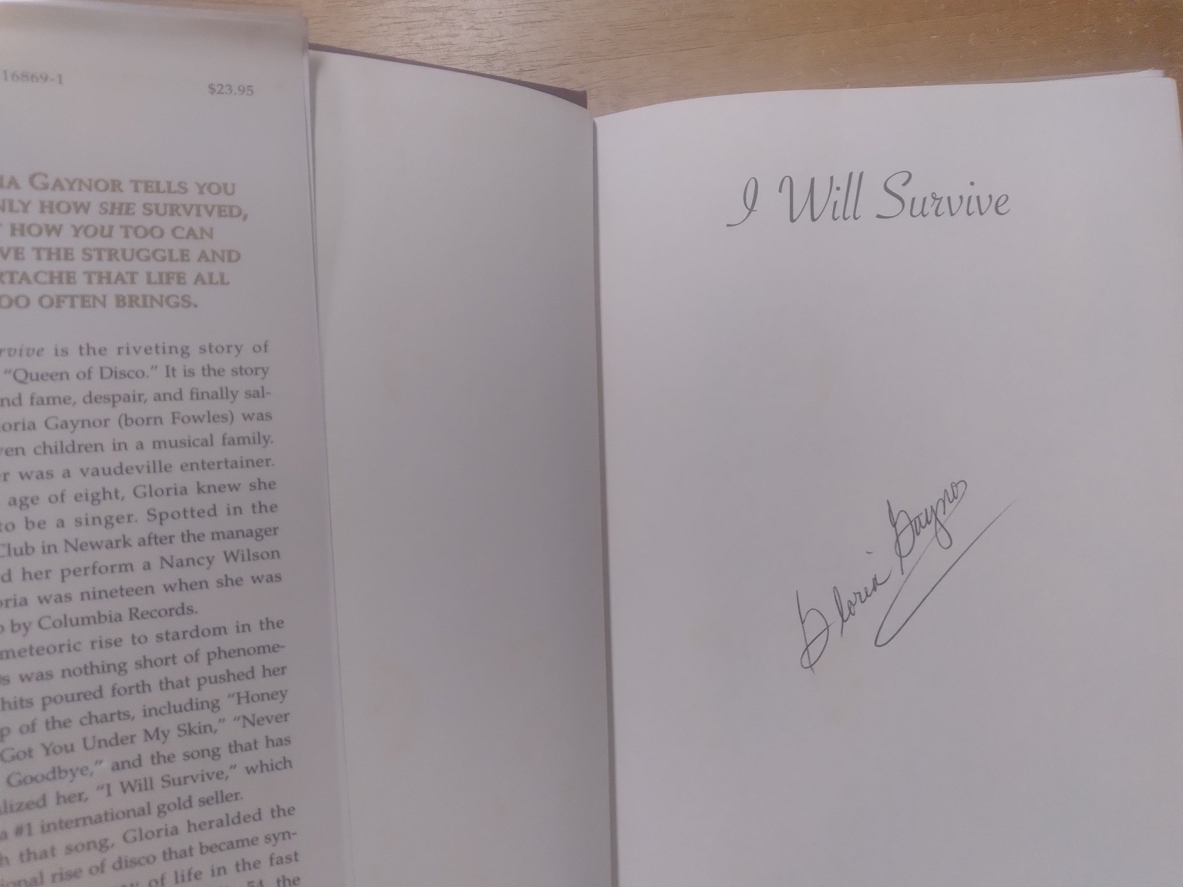 I Will Survive: The Book