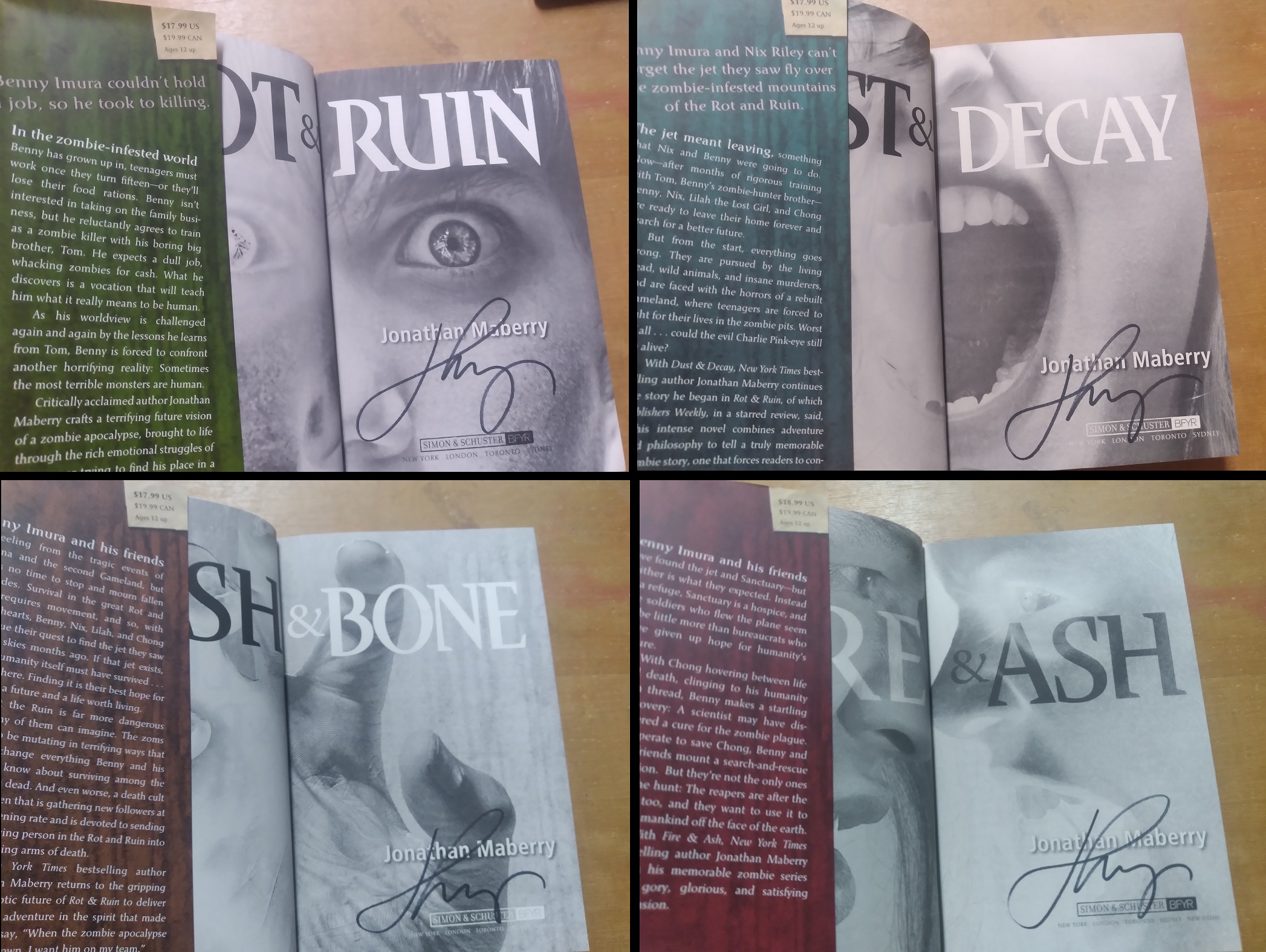 The Rot & Ruin Collection: Rot & Ruin / Dust & Decay / Flesh & Bone / Fire & Ash
