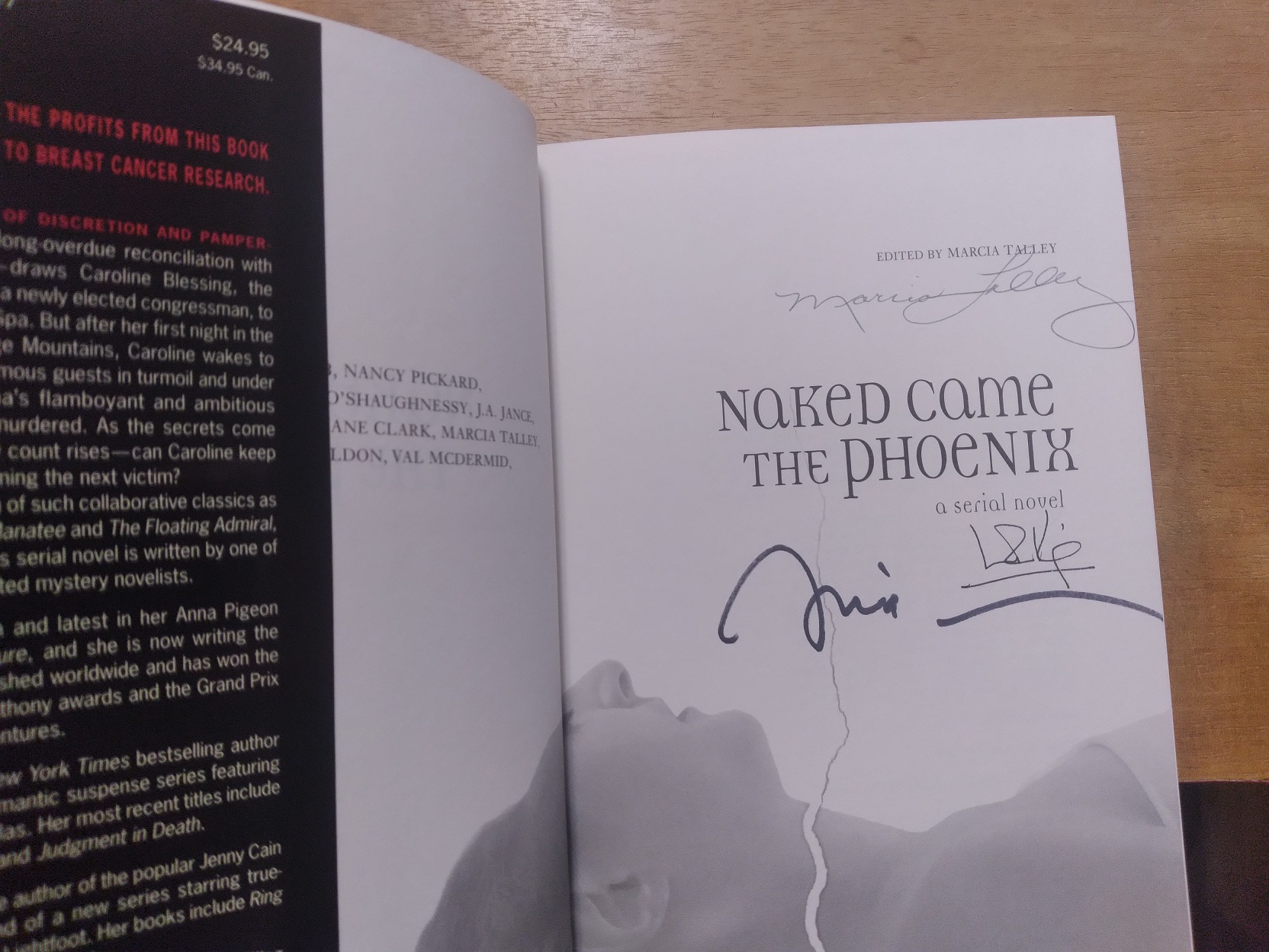 Naked Came the Phoenix: A Serial Novel