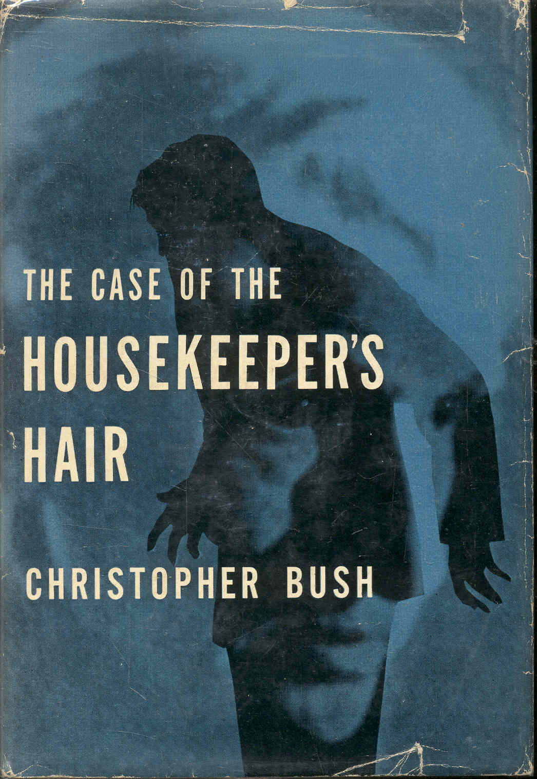The Case of the HOUSEKEEPER'S HAIR