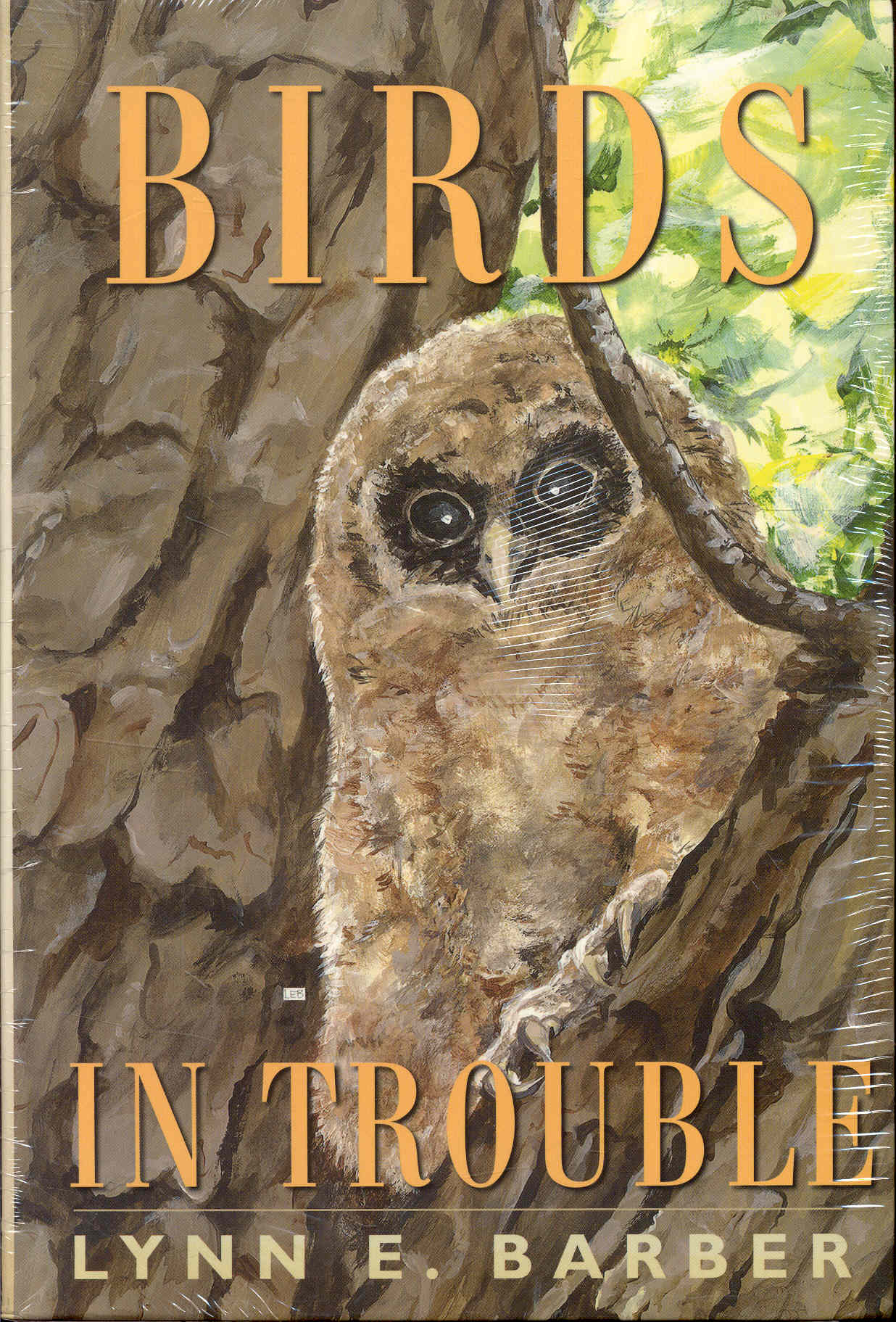 Birds in Trouble