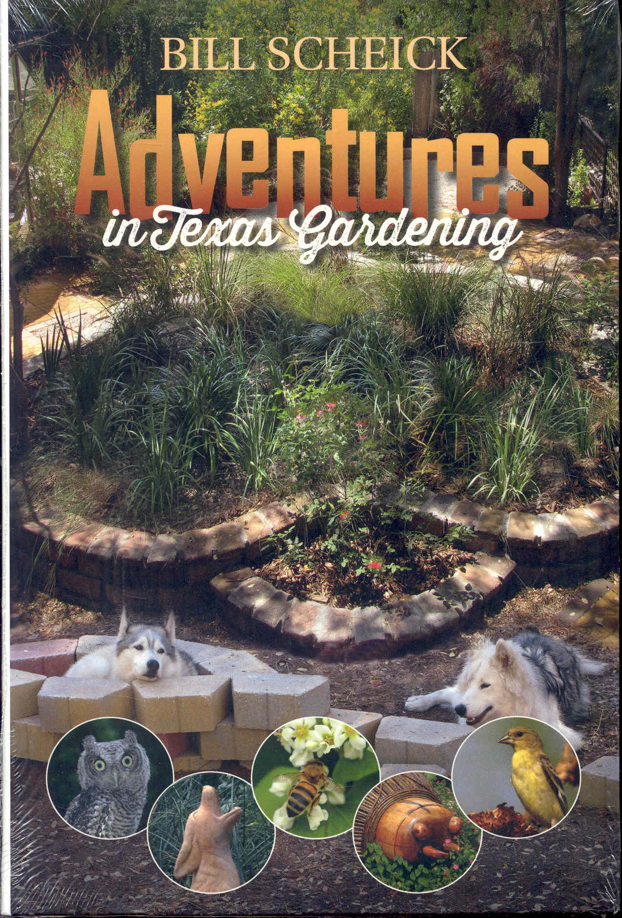 Adventures in Texas Gardening