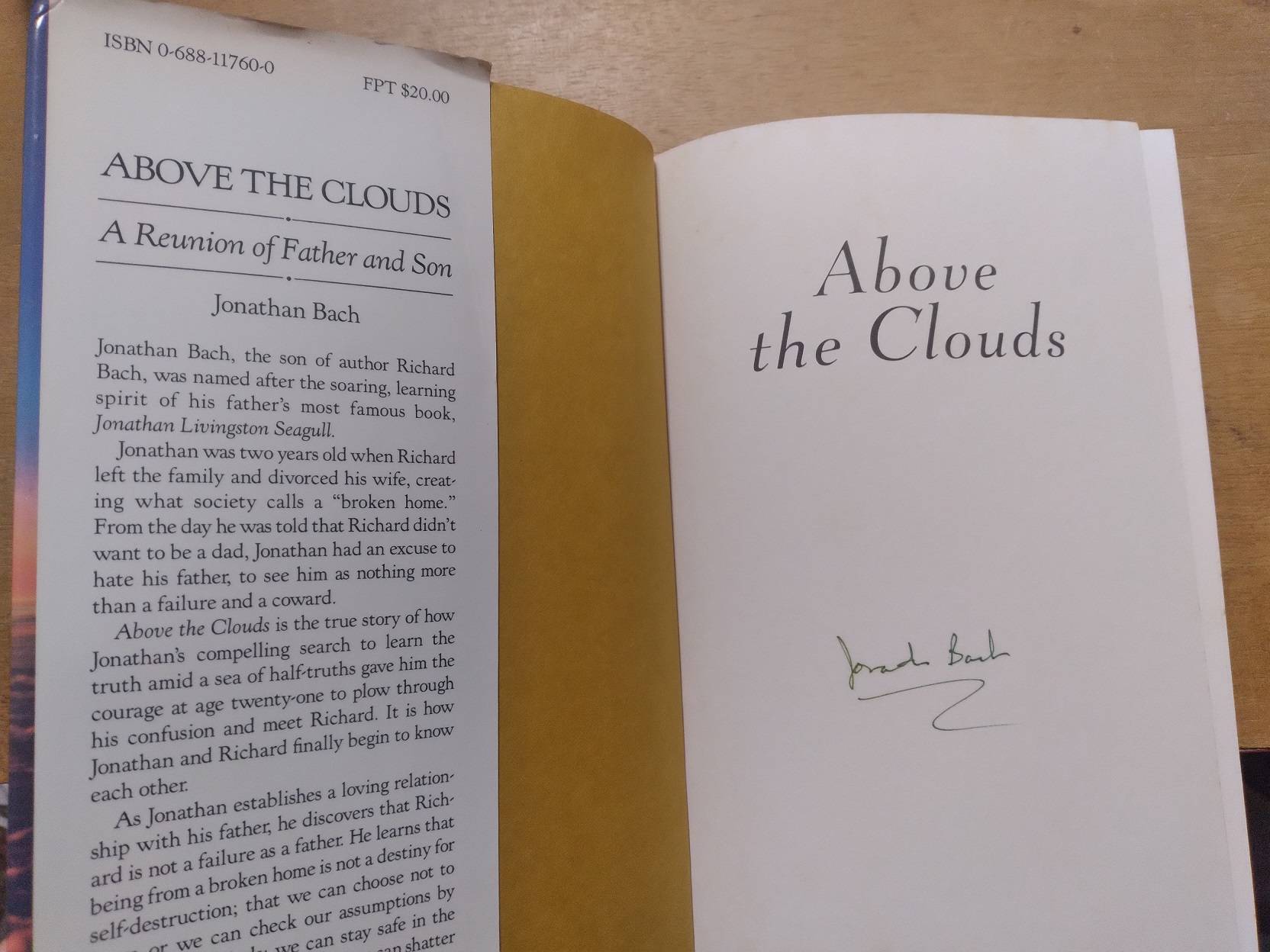 Above the Clouds: A Reunion of Father and Son