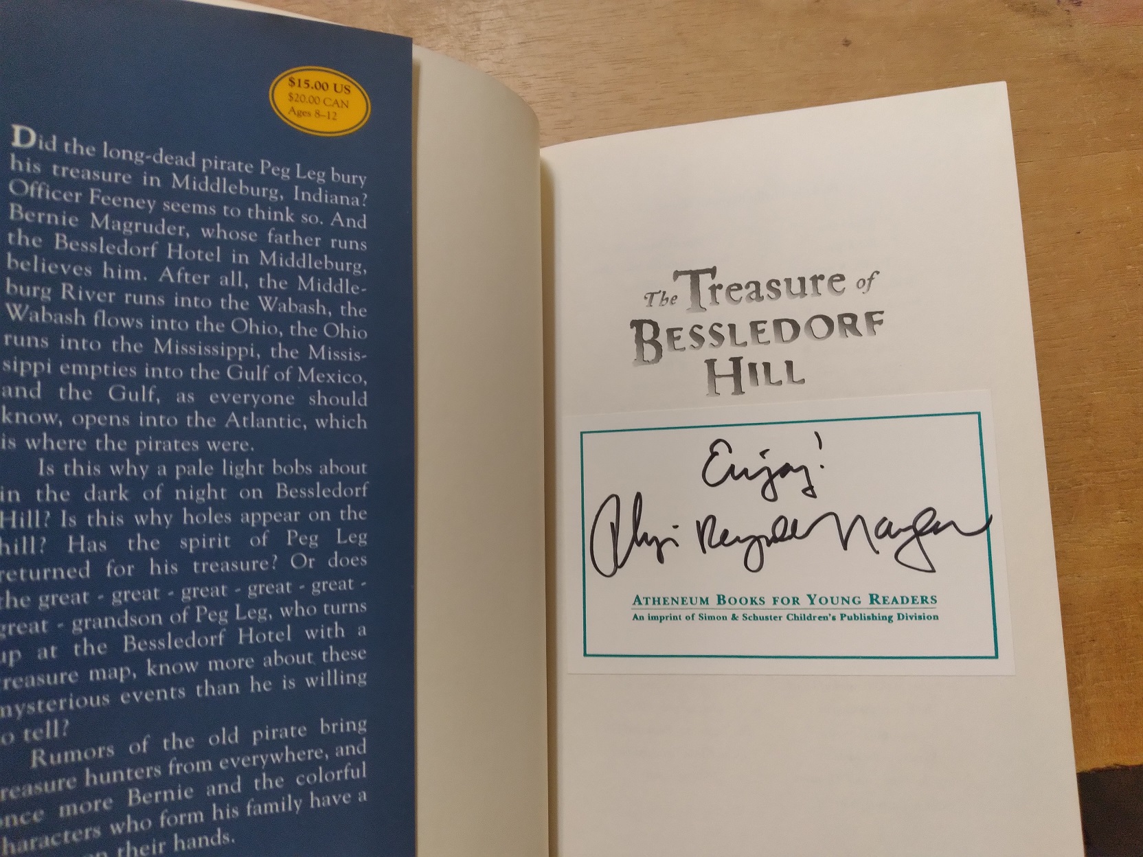 The Treasure of Bessledorf Hill