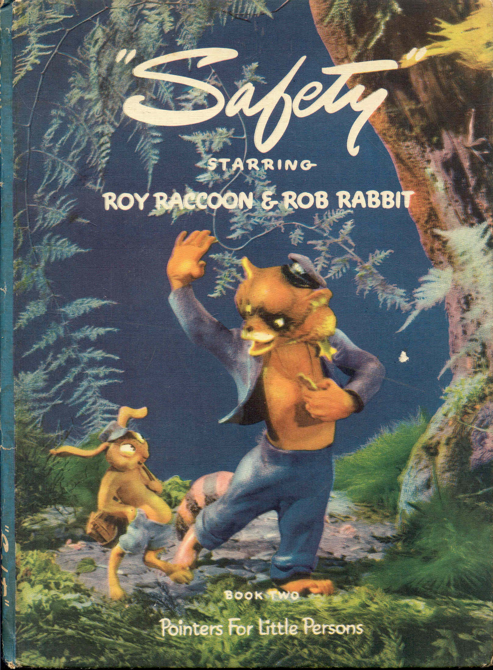 Safety - Starring Roy Raccoon & Rob Rabbit (Pointers For Little Persons, Book Two)