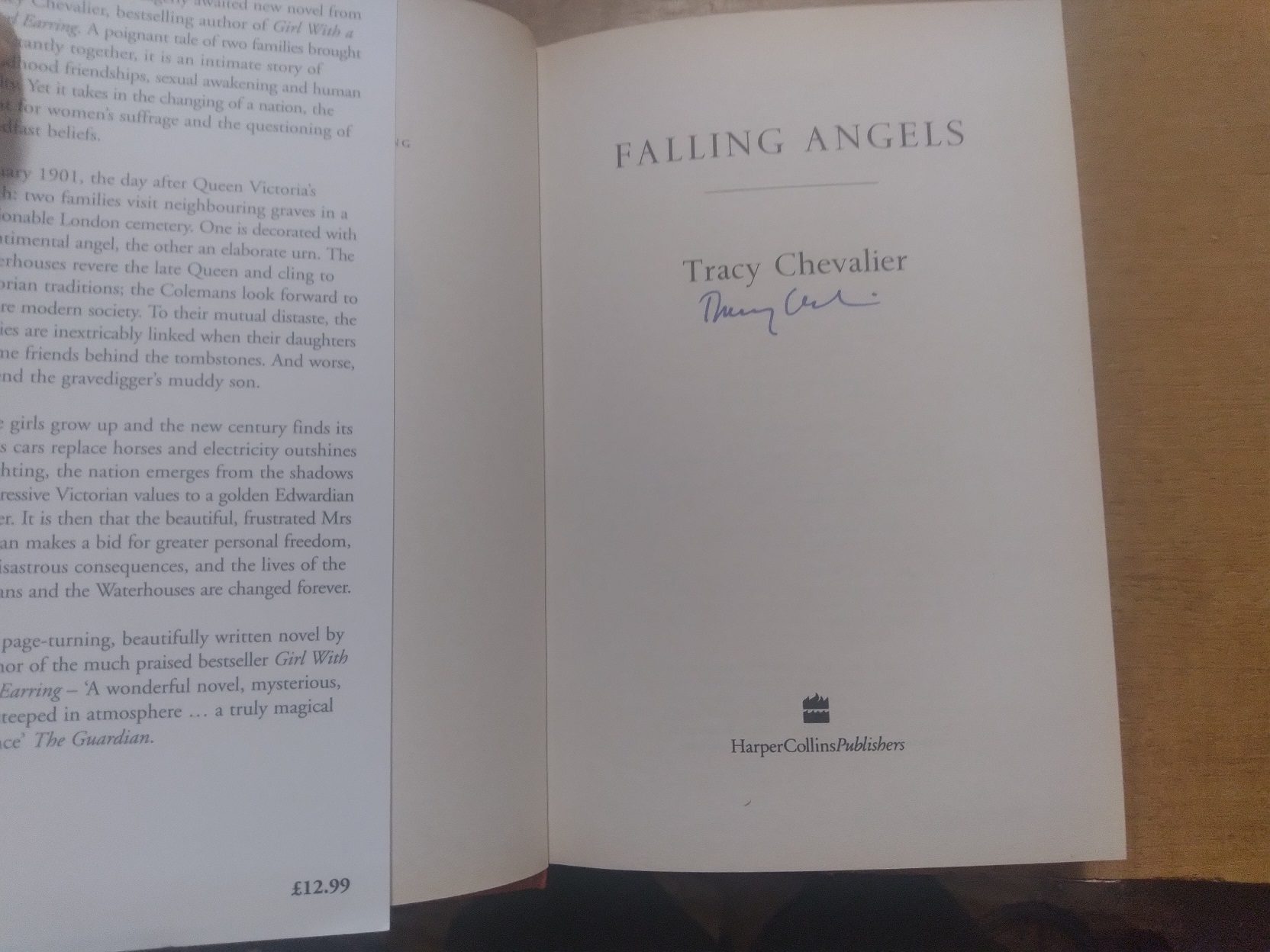 Falling Angels