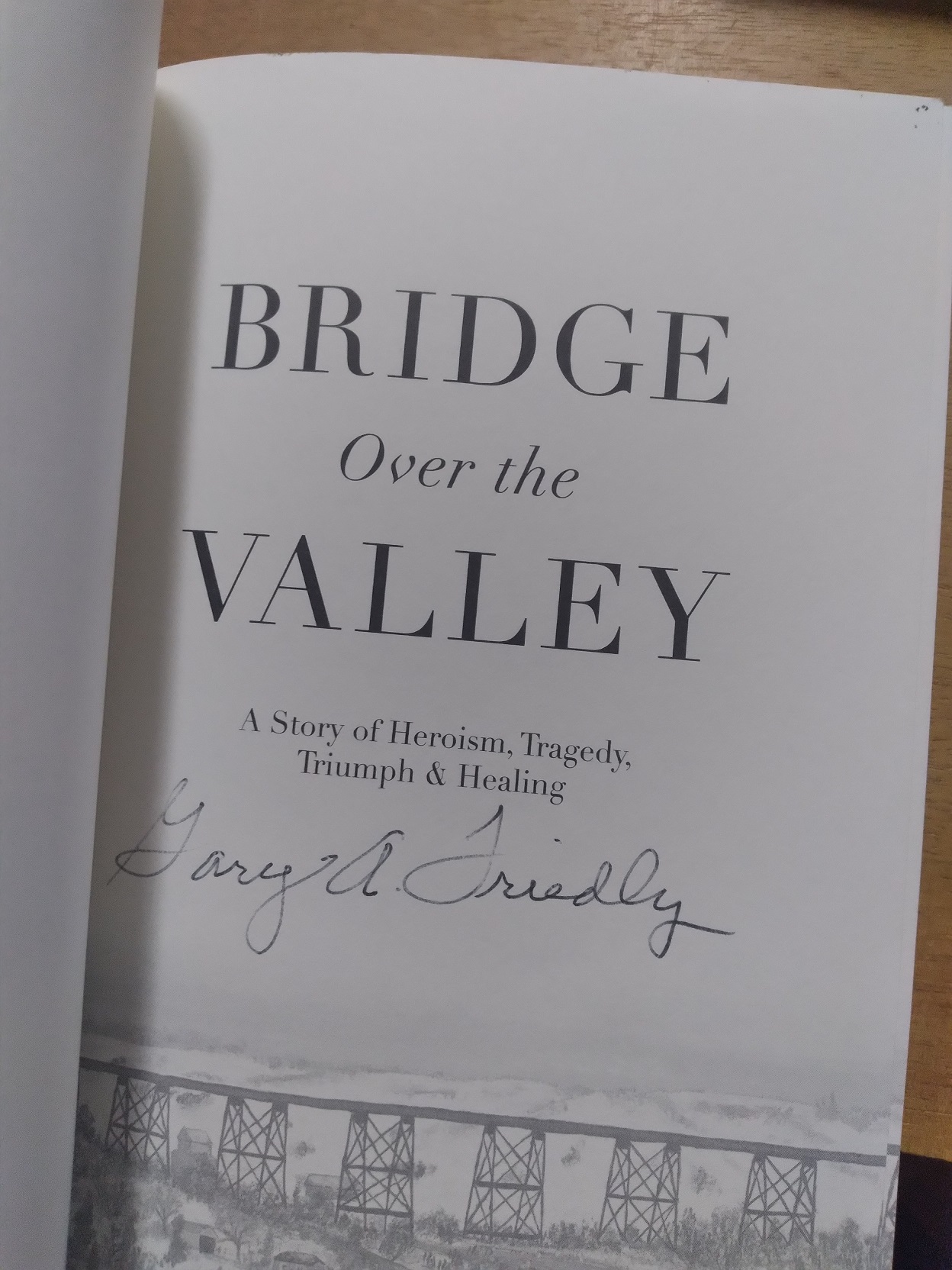 Bridge Over the Valley