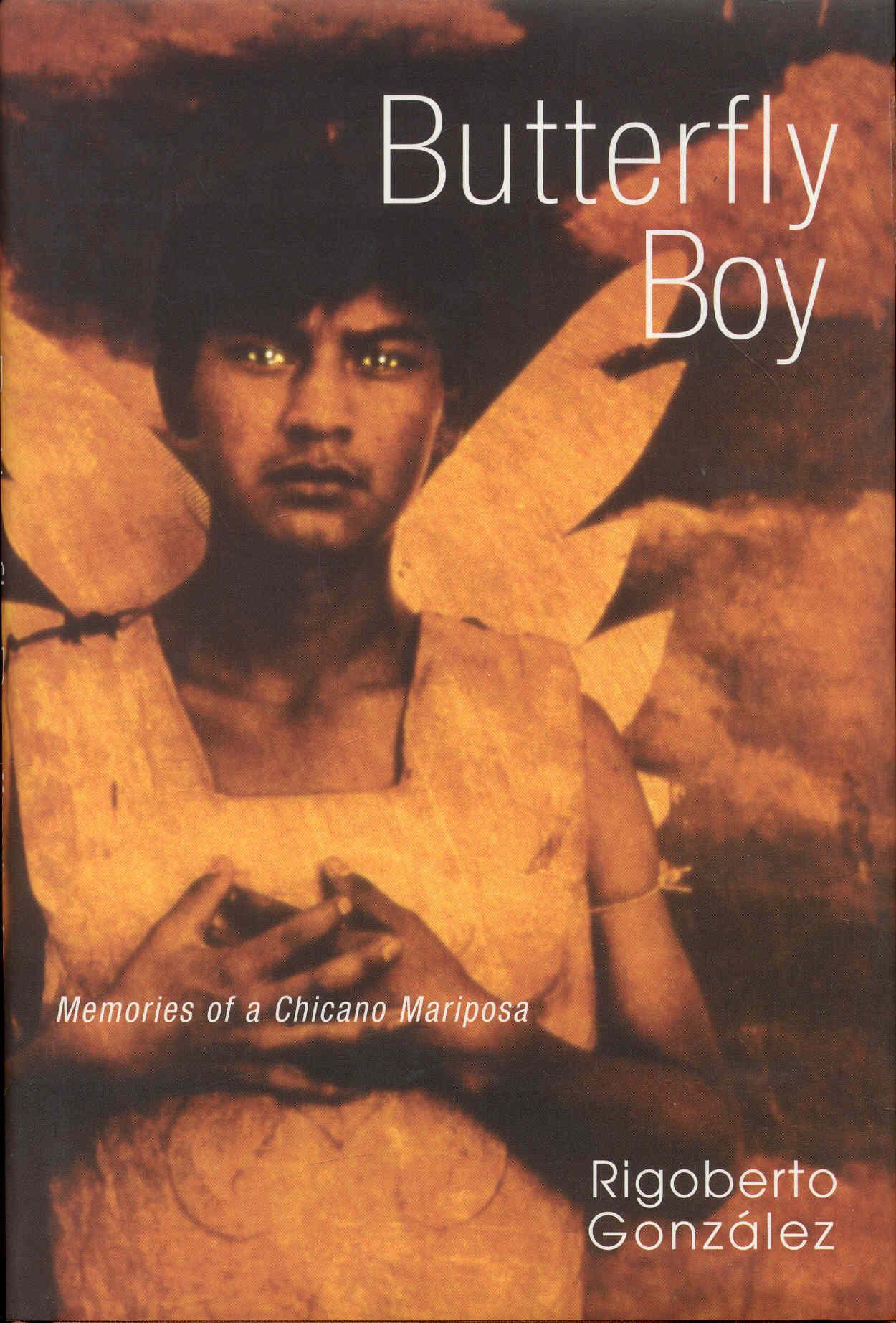 Image for Butterfly Boy: Memories of a Chicano Mariposa