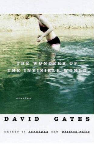 Image for The Wonders of the Invisible World: Stories