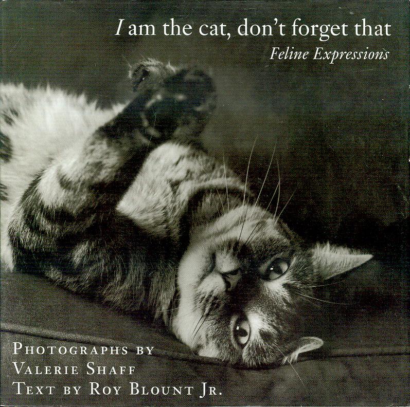 Image for I Am the Cat, Don't Forget That: Feline Expressions