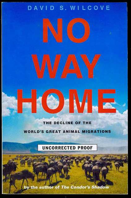 Image for No Way Home: The Decline of the World's Great Animal Migrations