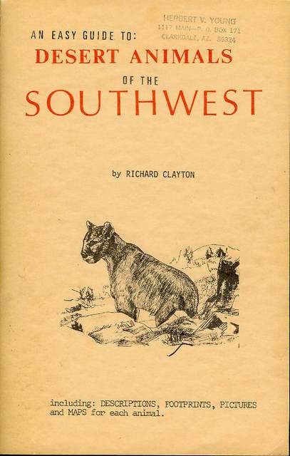 An Easy Guide To: Desert Animals of the Southwest