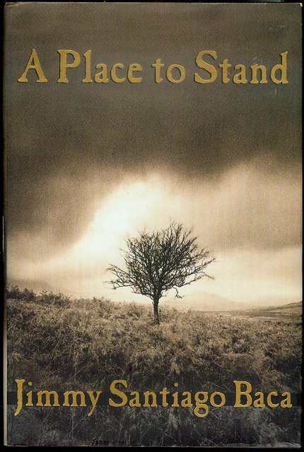 Image for A Place to Stand: The Making of a Poet