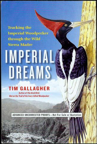 Image for Imperial Dreams: Tracking the Imperial Woodpecker Through the Wild Sierra Madre
