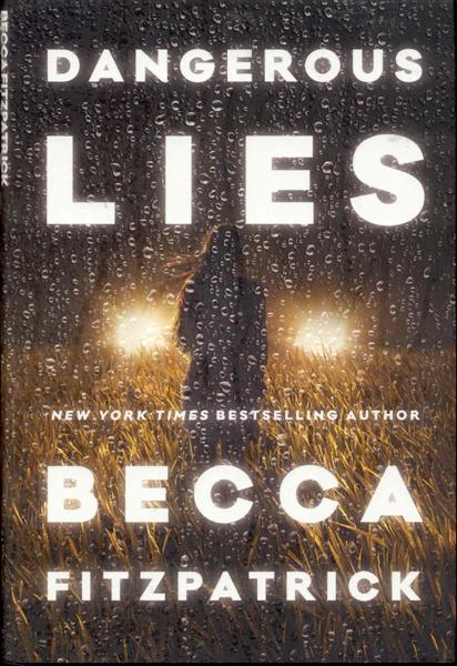 Image for Dangerous Lies