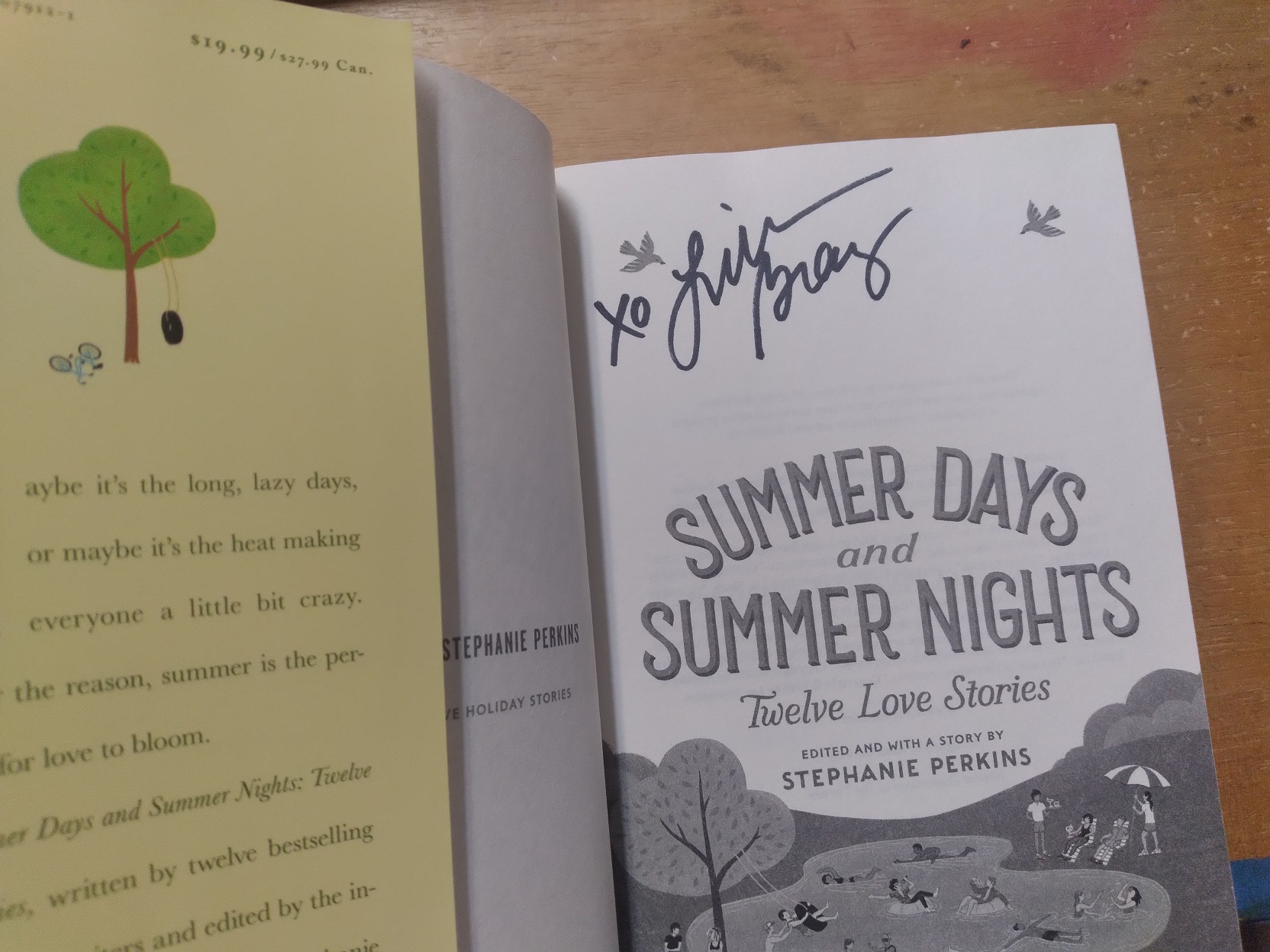 Summer Days and Summer Nights: Twelve Love Stories