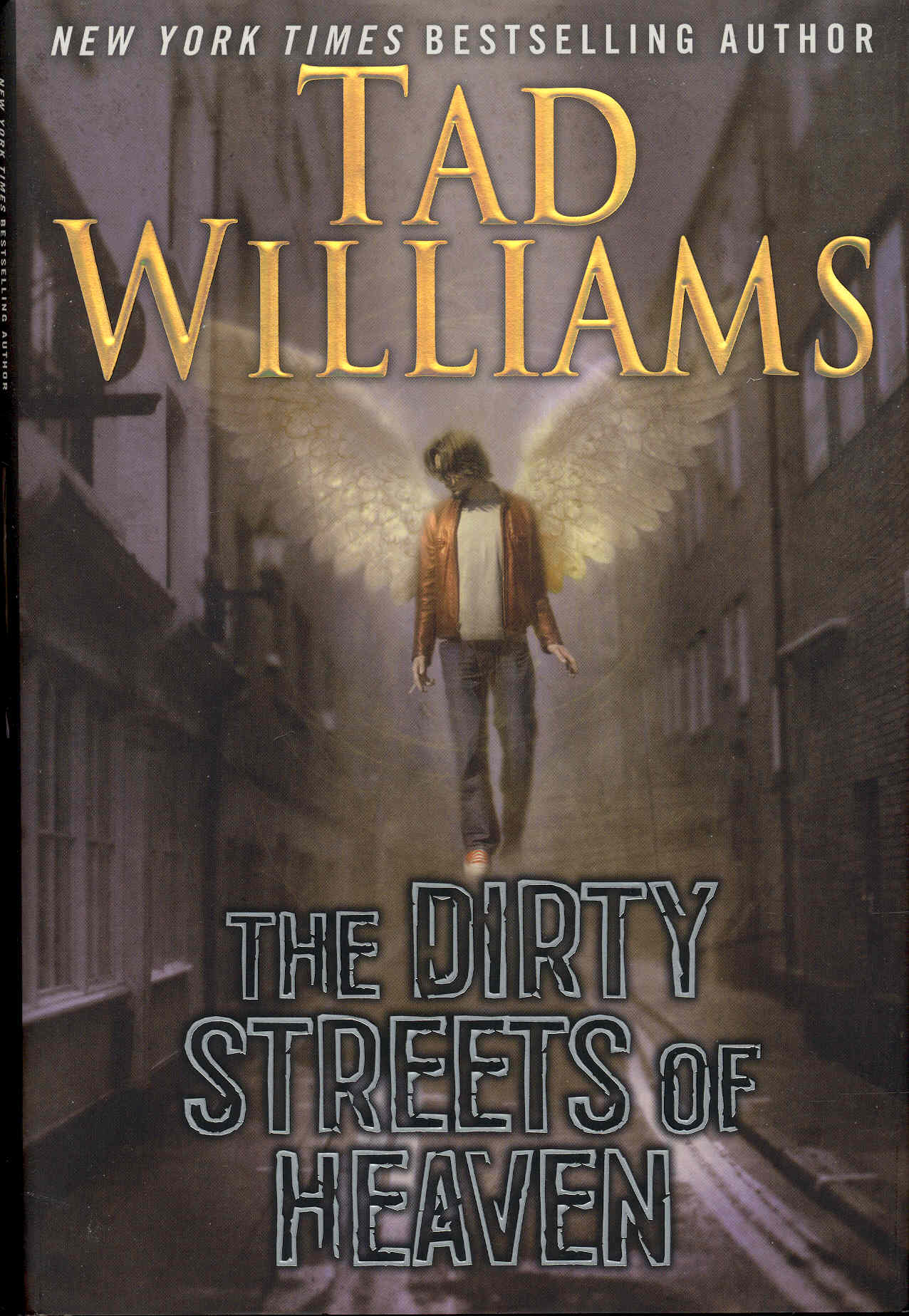 Image for The Dirty Streets of Heaven (Bobby Dollar, Volume 1)