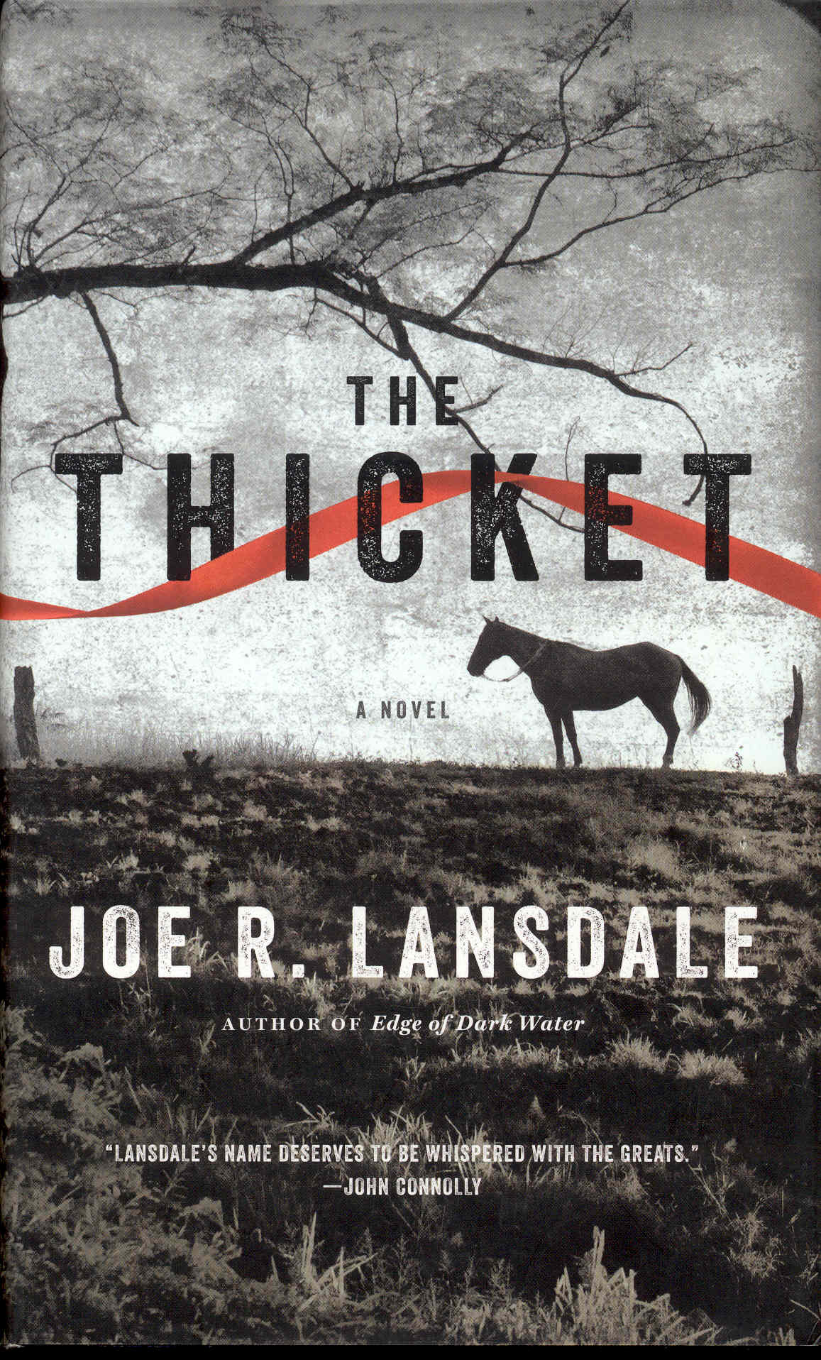 Image for The Thicket