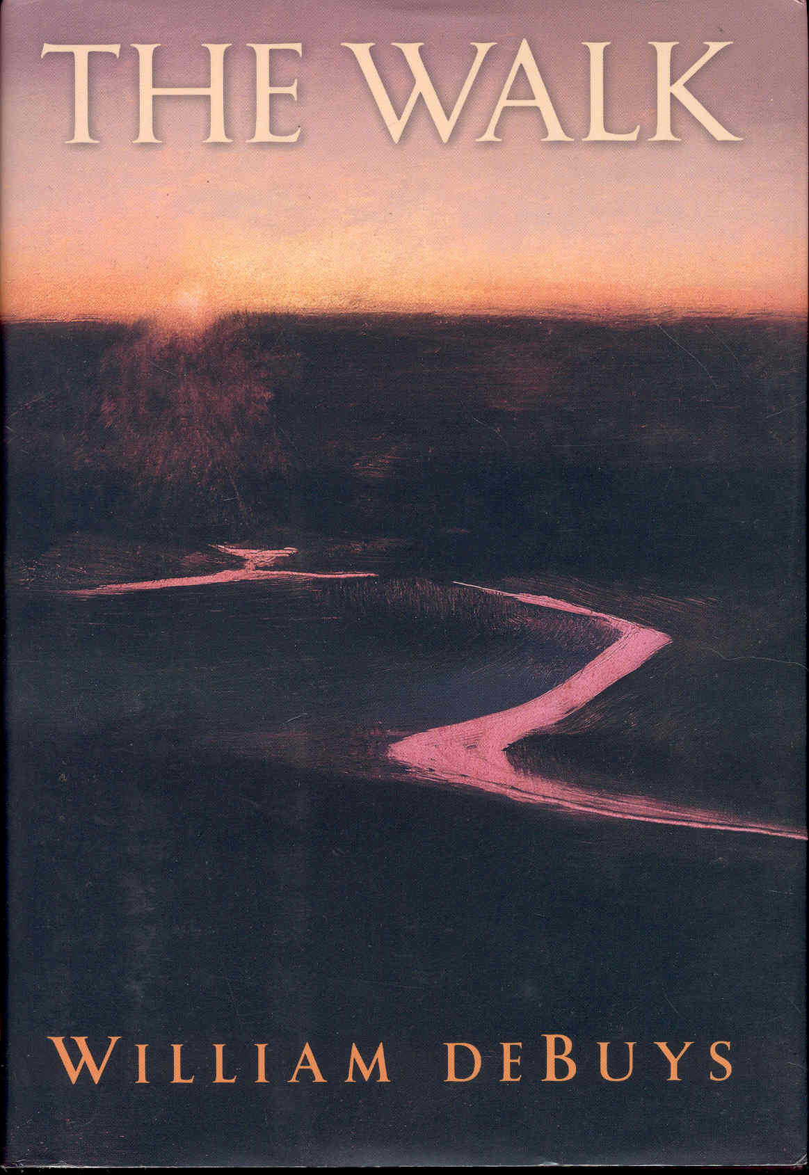 Image for The Walk