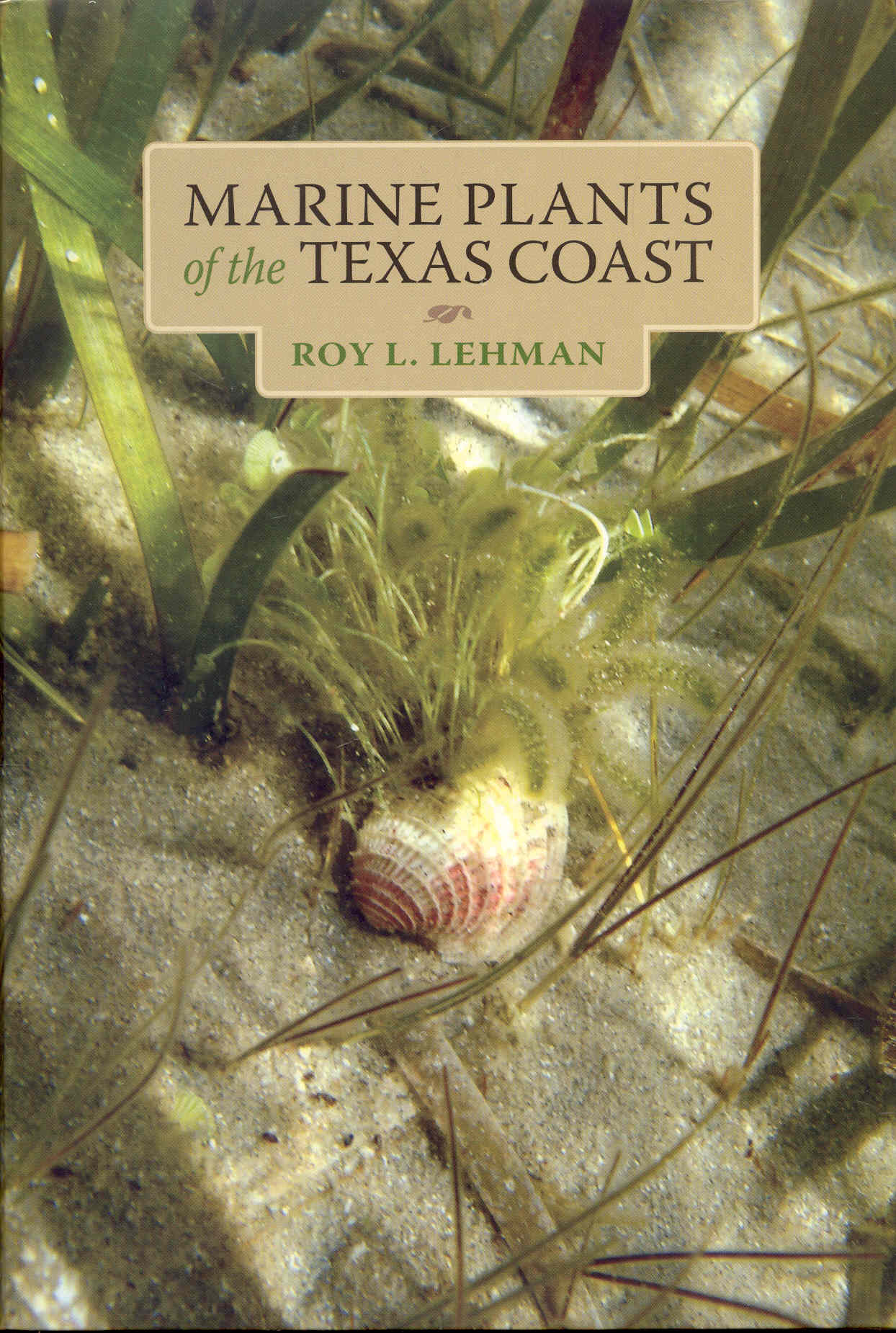 Image for Marine Plants of the Texas Coast