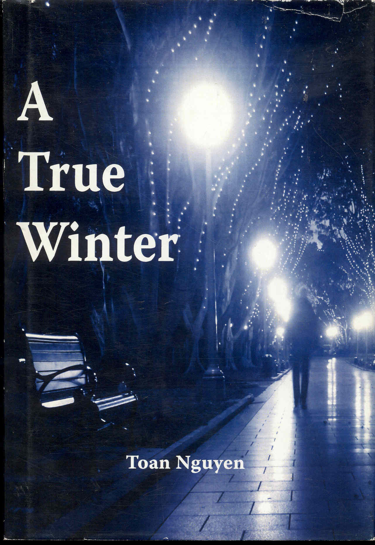 Image for A True Winter