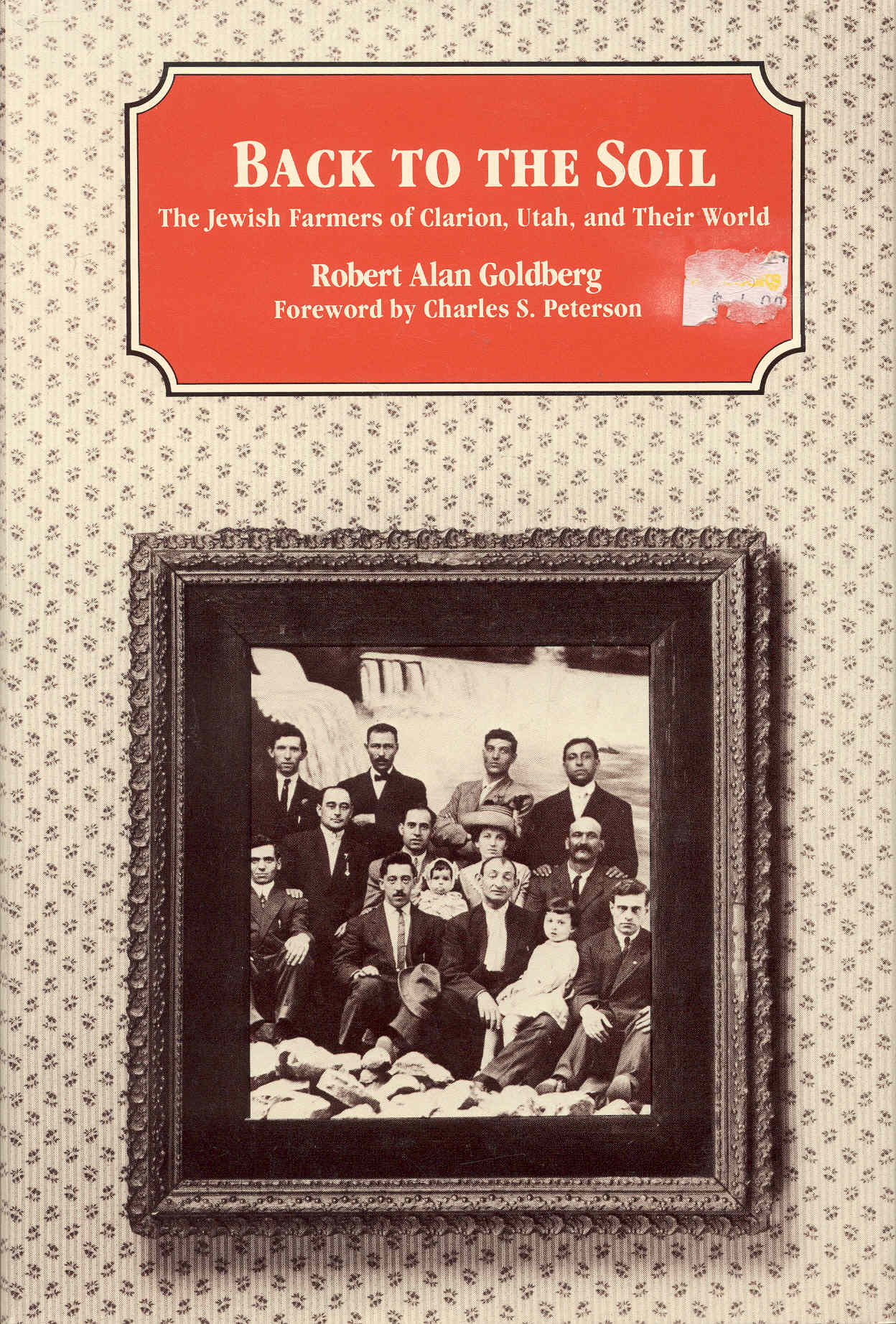 Image for Back to the Soil: The Jewish Farmers of Clarion, Utah, and Their World