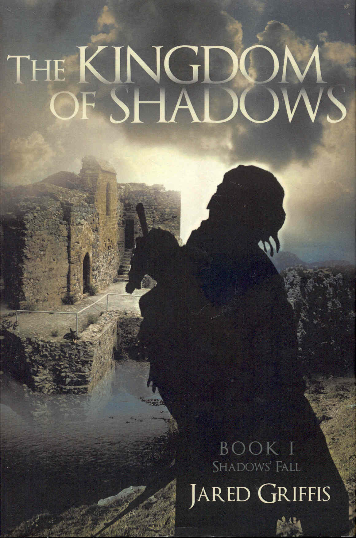 Image for The Kingdom of Shadows (Shadows' Fall, Book 1)