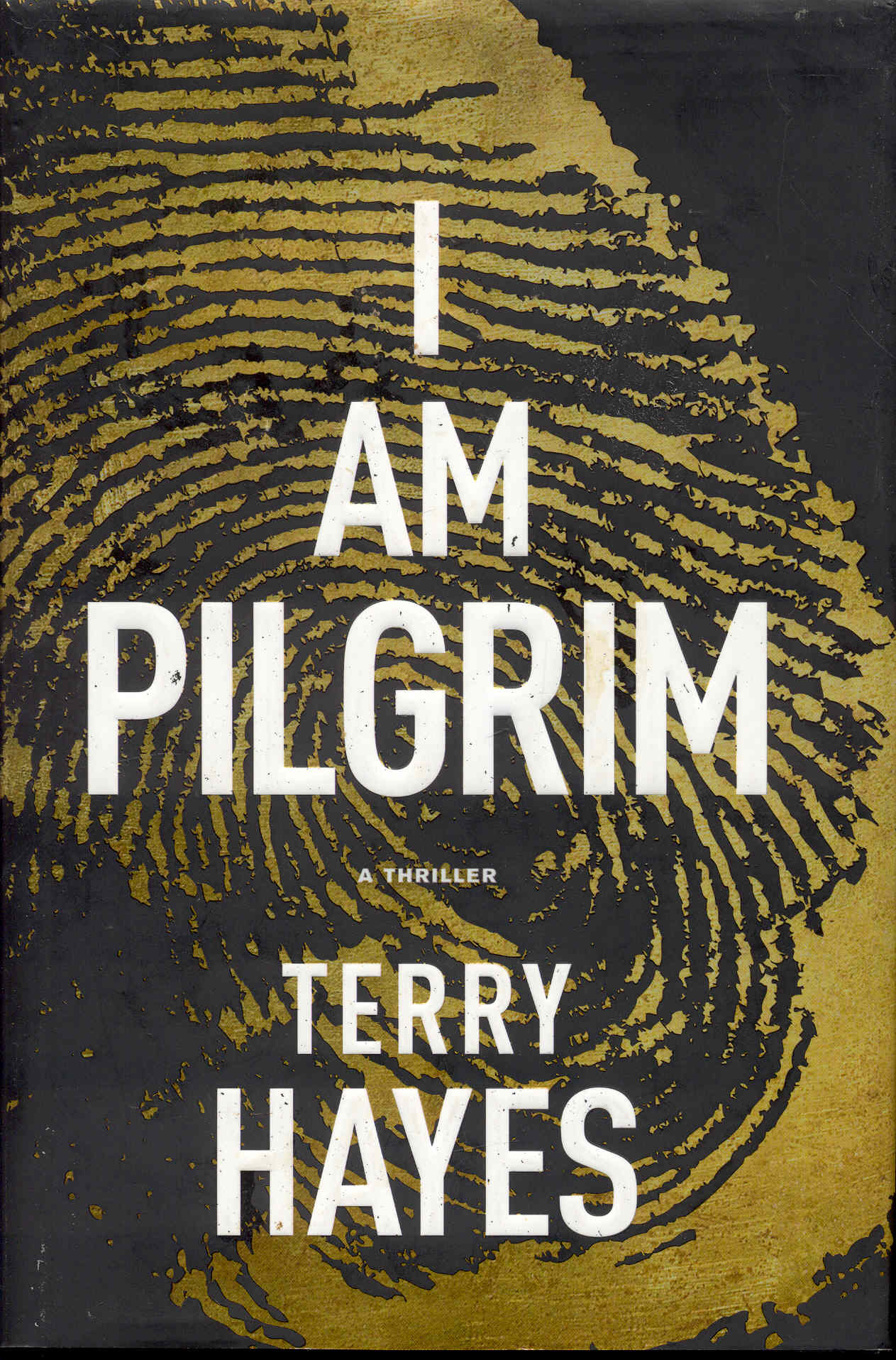 Image for I Am Pilgrim