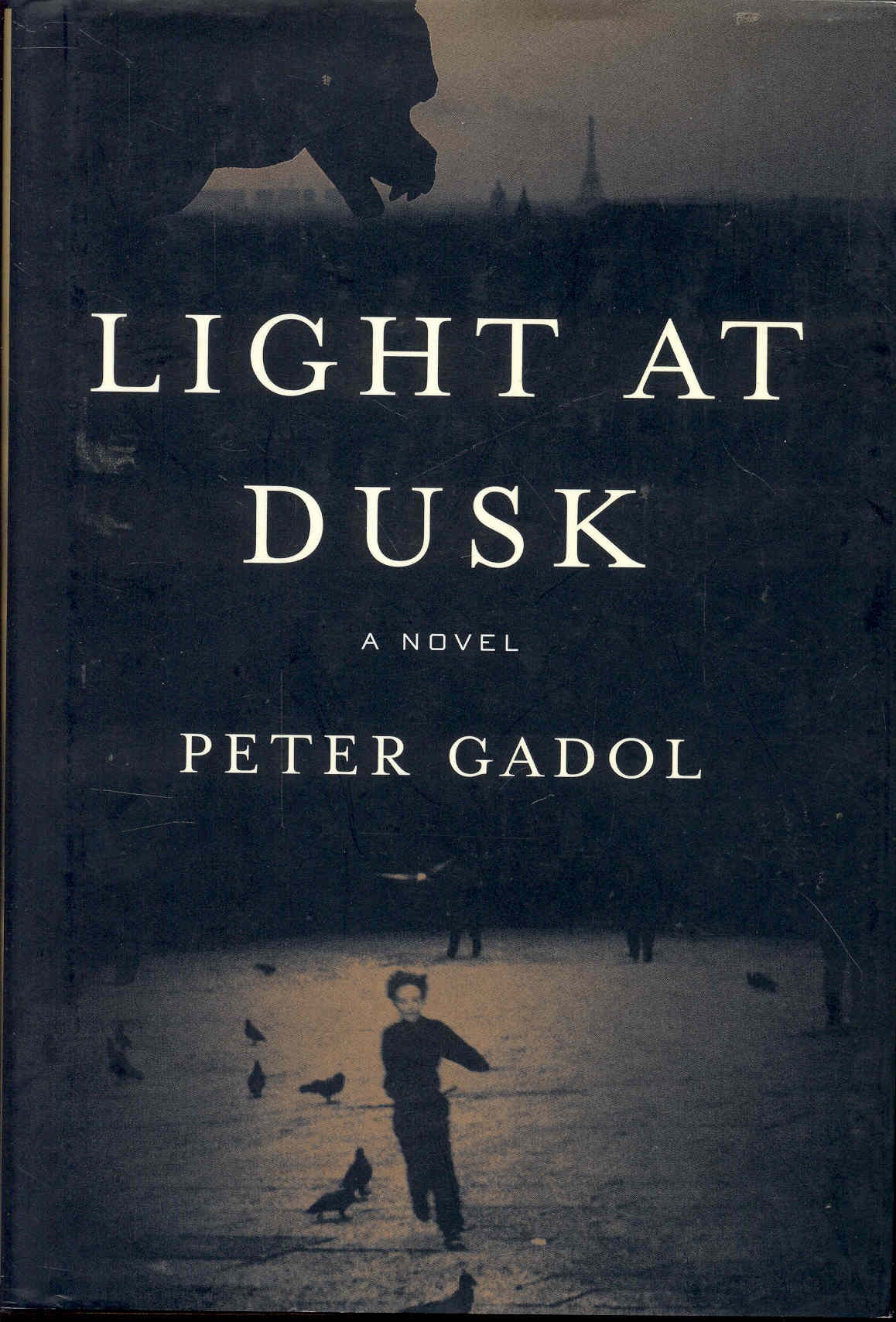 Image for Light at Dusk