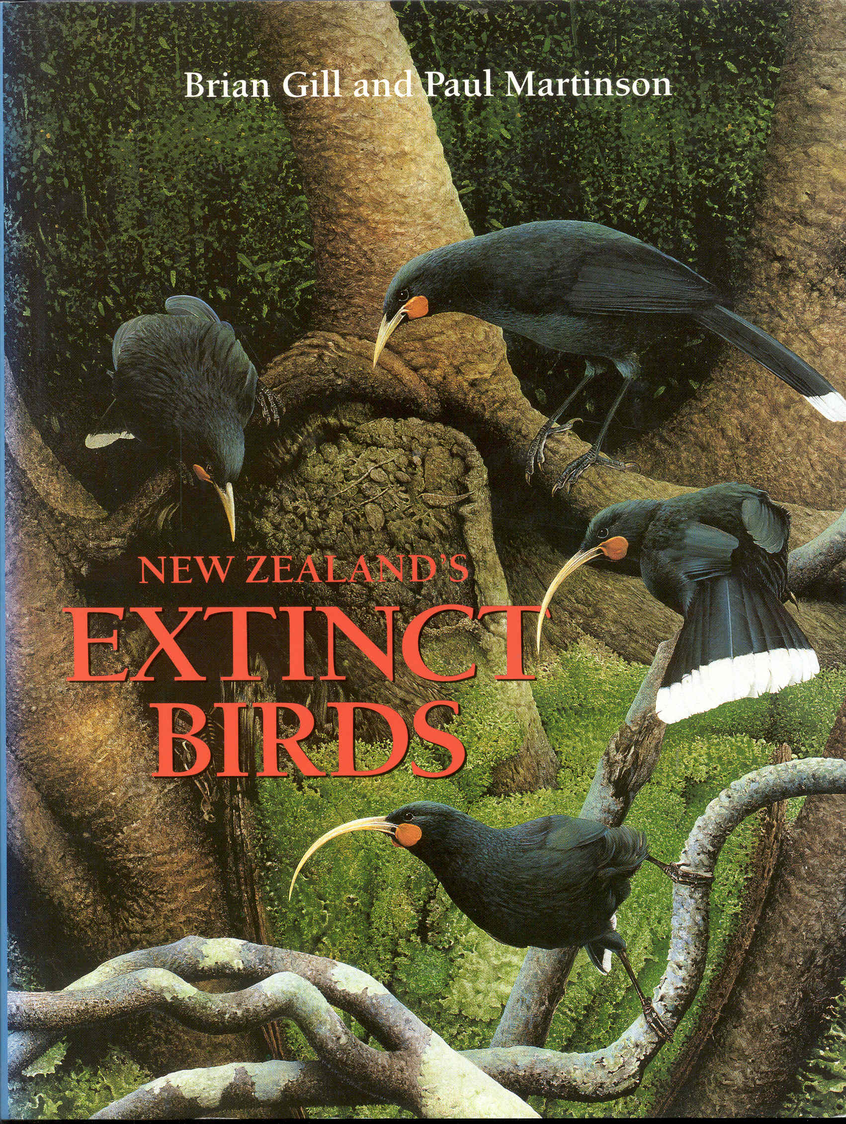 Image for New Zealand's Extinct Birds
