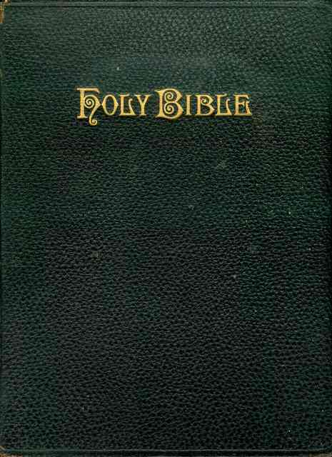 Image for The Holy Bible (Self=Pronouncing Edition)