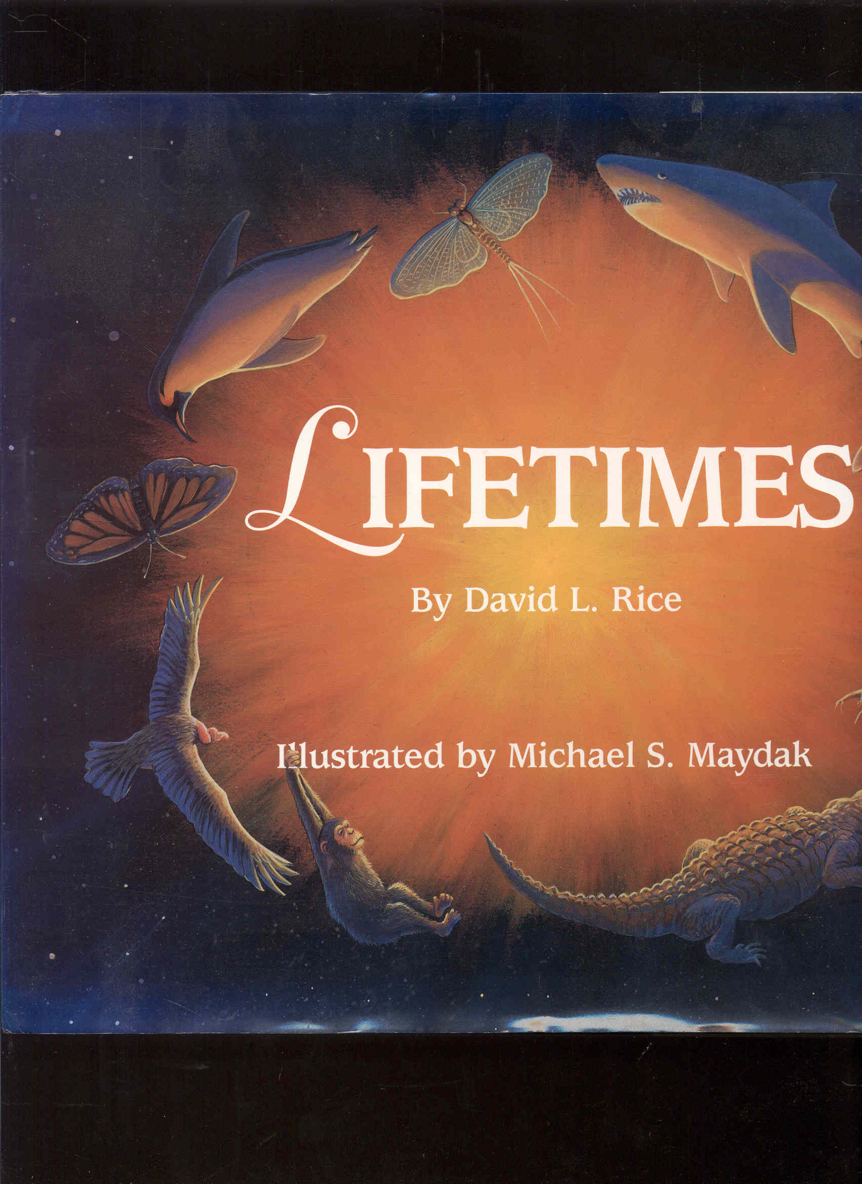 Image for Lifetimes