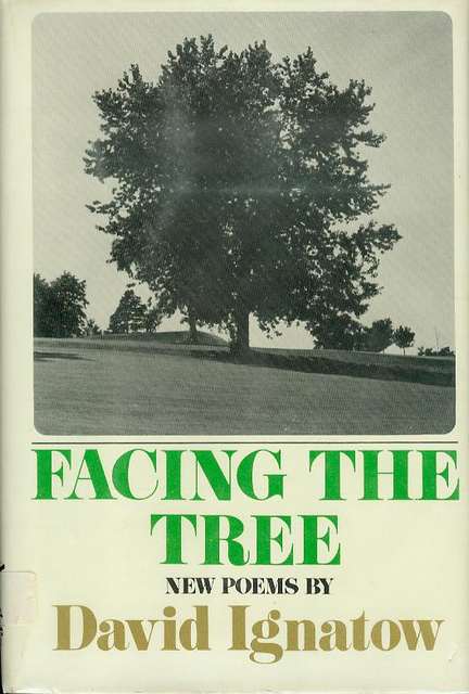Image for Facing the Tree